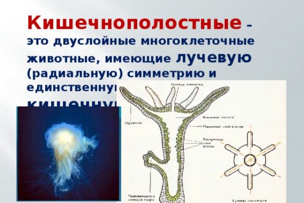 Kraken новые ссылки